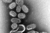 Эпидемиологи: пока россияне могут не бояться вируса гриппа