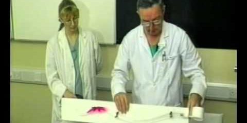 Патофизиология спинальной анестезии