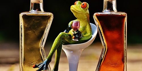 Ученые выделили 5 типов алкоголиков — МедНовости