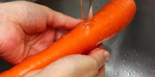 Ученые назвали веганство «скрытым голодом» — МедНовости