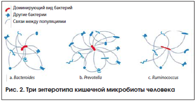 Рис. 2. Три энтеротипа кишечной микробиоты человека