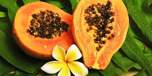 Диетологи подсказали, какой фрукт поможет сжечь лишний жир на животе