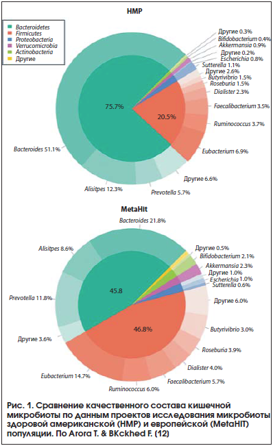 Рис. 1. Сравнение качественного состава кишечной микробиоты по данным проектов исследования микробиоты здоровой американской (HMP) и европейской (MetaHIT) популяции. По Arora T. & BКckhed F. [12]