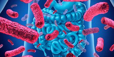 Применение пробиотиков в медицинской практике | Николаева С.В., Золотарев Ю.В., Горелов А.В.