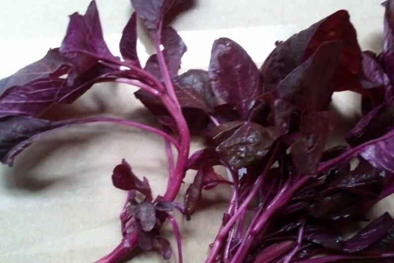 5 самых потрясающих премуществ красного шпината