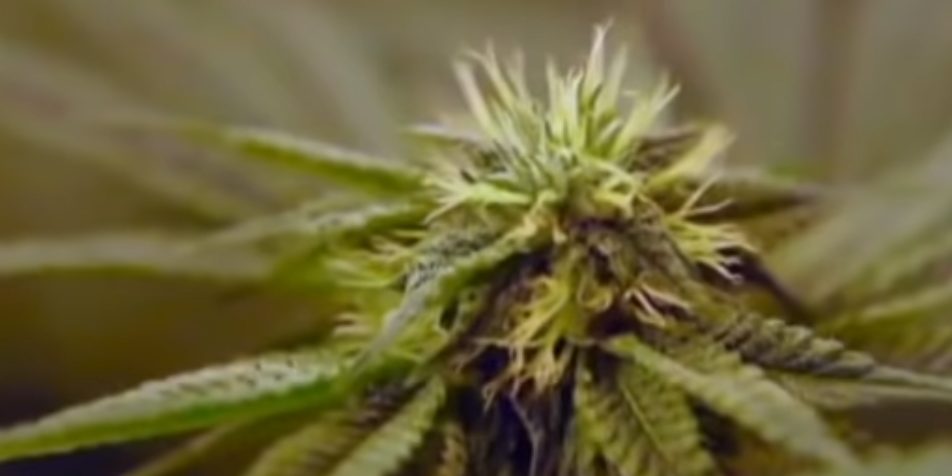 Израильские специалисты создали средство для борьбы с раком