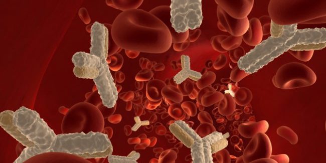 Гистамин может помочь при деменции?