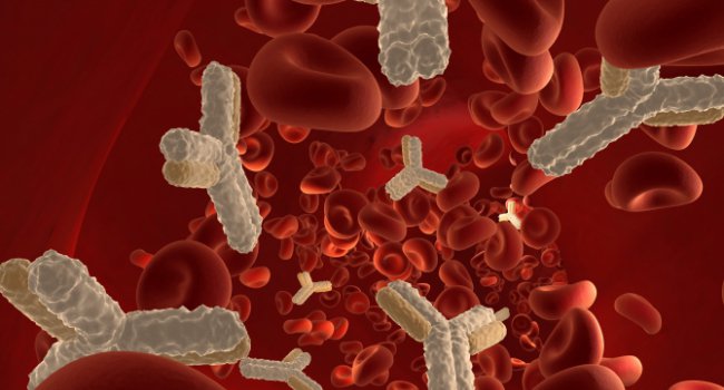 Гистамин может помочь при деменции?