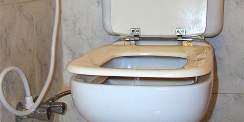 Простое приспособление может помочь справиться с хроническим запором — МедНовости