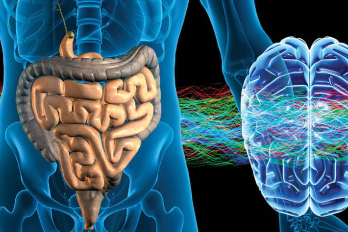 Кишечник влияет на психические болезни у женщин