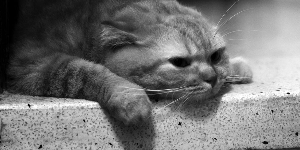 Третий понедельник января – самый депрессивный день в году