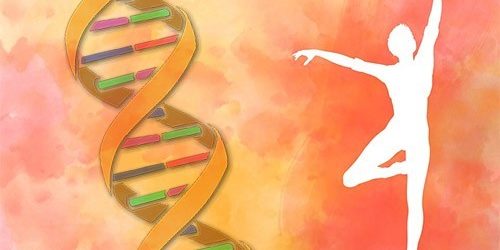 Секрет худобы, которой нипочем любая еда, находится в ДНК — МедНовости