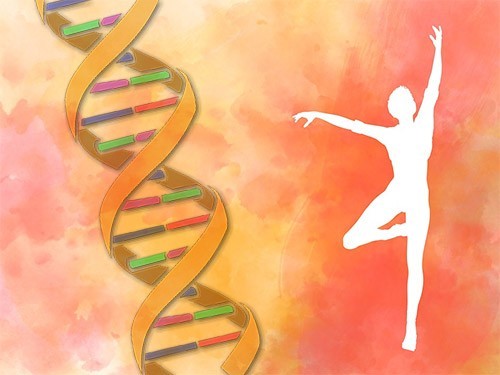 Секрет худобы, которой нипочем любая еда, находится в ДНК — МедНовости