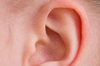 Исследователи нашли способ вернуть человеку слух