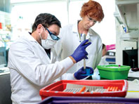 Простой анализ крови выявит деменцию почти за 20 лет до появления первых симптомов