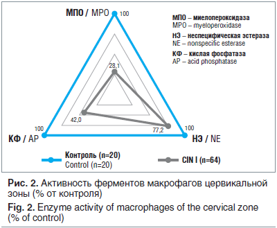 Рис. 2. Активность ферментов макрофагов цервикальной зоны (% от контроля)