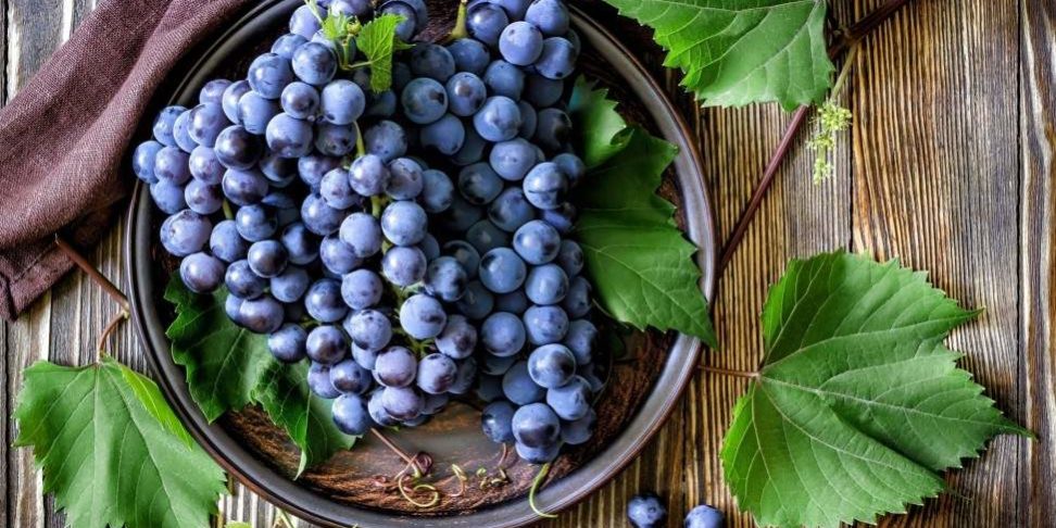 Медики назвали продукты, улучшающие работу почек