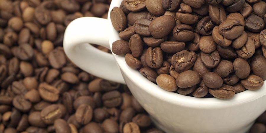 Диета при камнях в почках: эти продукты желательно исключить из рациона