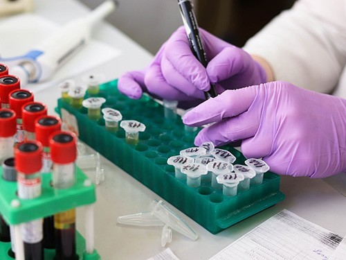 Папилломавирус, Helicobacter и кошачья двуустка: инфекции, причастные к развитию рака — МедНовости