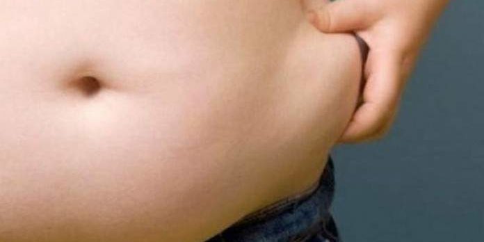 Ученые выявили взаимосвязь между размерами мозга и живота