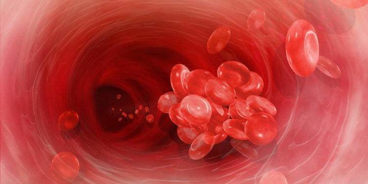 Названы лучшие продукты для защиты от тромбов