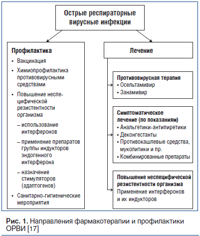 Рис. 1. Направления фармакотерапии и профилактики ОРВИ [17]