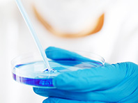 Ученые нашли в кишечнике человека следы более 2000 видов новых бактерий