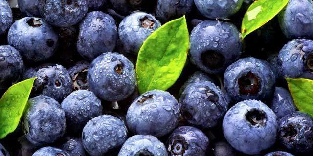 Эта ягода существенно снижает риск сердечно-сосудистых заболеваний