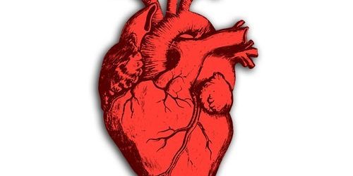 Только малая часть рекомендаций по болезням сердца подкреплена качественными исследованиями — МедНовости