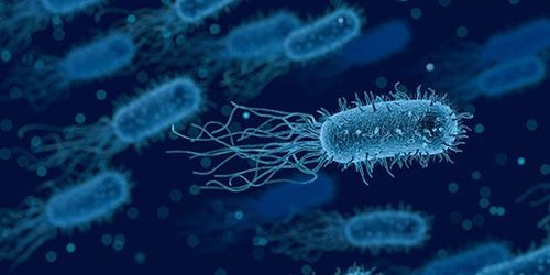 Бактерии в моче не всегда говорят о необходимости лечения — МедНовости