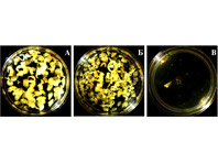 Уникальная система позволяет предотвратить образование тромбов