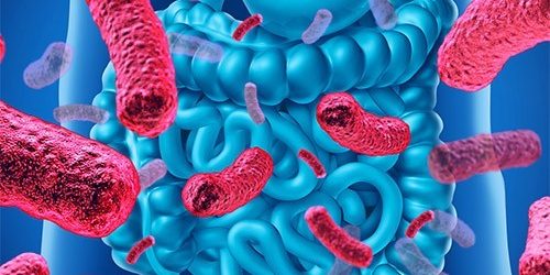 Ученые напомнили о возможных опасностях приема пробиотиков — МедНовости