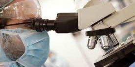 Медики предупредили о грибке, который может убить за 90 дней