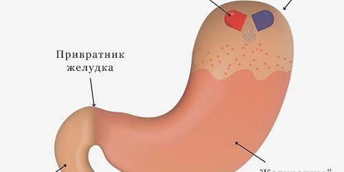Инновационное лекарство от рака успешно прошло первые испытания