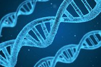 Российские чиновники сделали ставку на развитие генетики