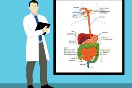 Цифровая медицина: готово ли российское здравоохранение использовать новые технологии — МедНовости