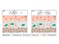 Инженеры опробовали особо эффективный метод доставки лекарств