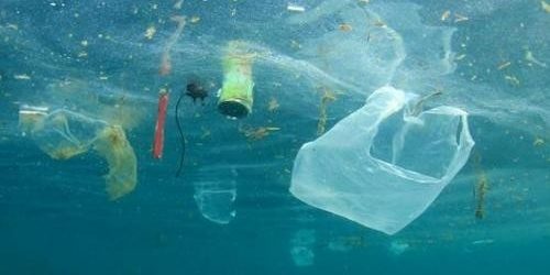 Средний человек съедает около 50000 частиц микропластика в год — МедНовости