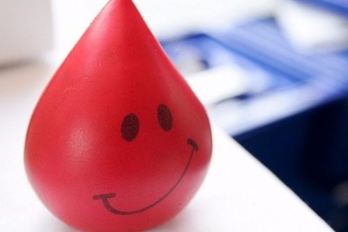 Ученые рассказали о влиянии низкого и высокого содержания железа в организме на здоровье — МедНовости