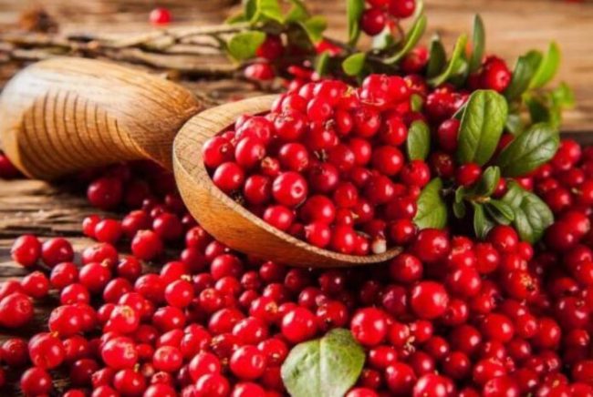 Специалисты назвали ТОП-20 продуктов, препятствующих старению