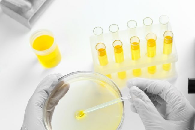 Pfizer и МАКМАХ подписали меморандум о стратегическом сотрудничестве