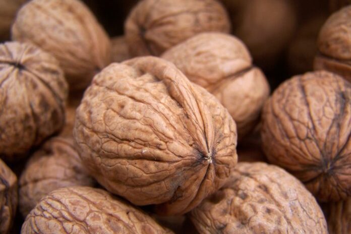 Назван орех, обладающий противораковыми свойствами