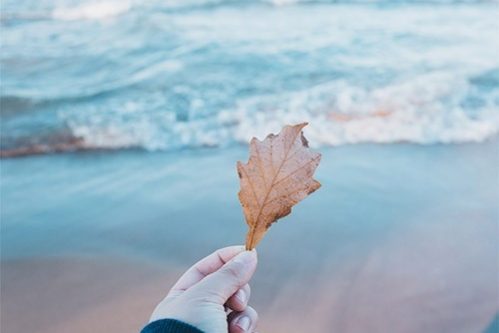 Можно ли управлять возрастом — МедНовости