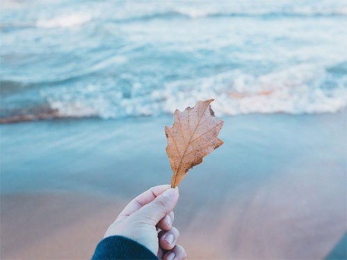 Можно ли управлять возрастом — МедНовости