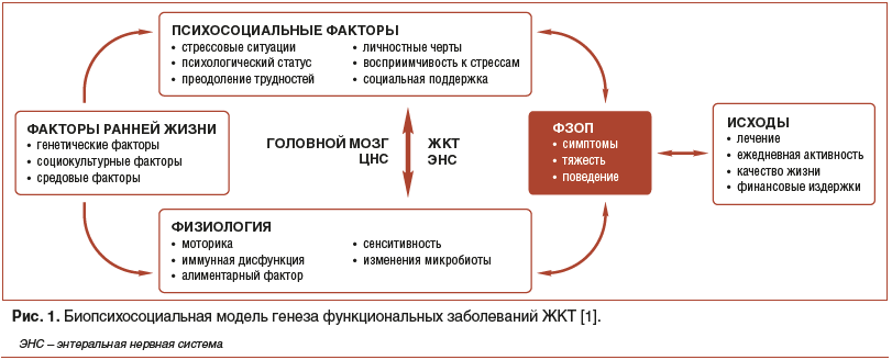 Рис. 1. Биопсихосоциальная модель генеза функциональных заболеваний ЖКТ [1].