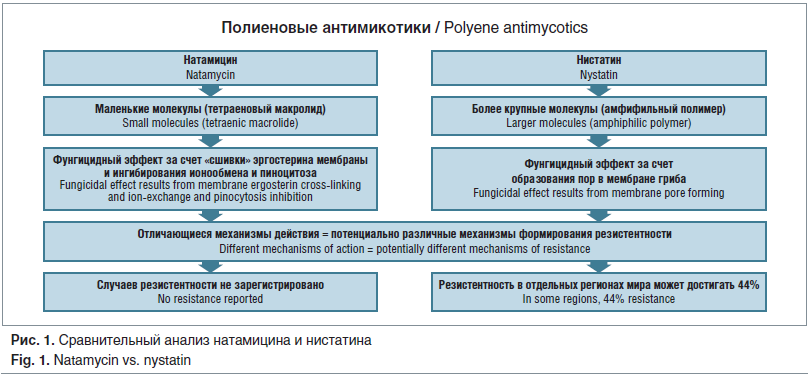 Рис. 1. Сравнительный анализ натамицина и нистатина Fig. 1. Natamycin vs. nystatin
