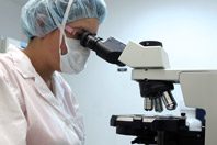 Российские эксперты нашли способ повысить успешность пересадок тканей