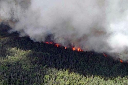 Пожары в Сибири. В чем вред смога для сердца и что делать? — МедНовости