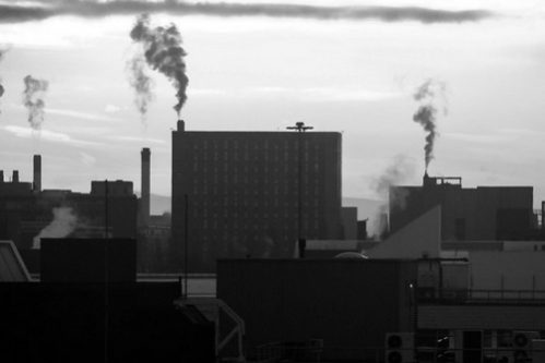 Дышать загрязненным городским воздухом — все равно, что выкуривать по пачке сигарет в день — МедНовости