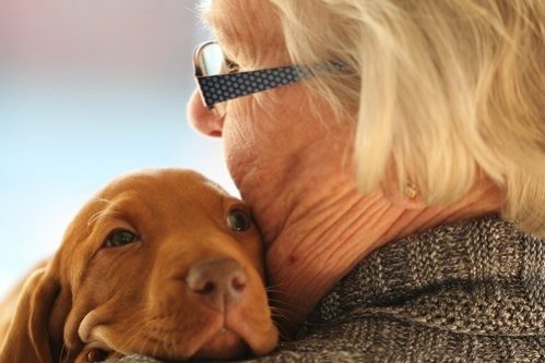 Домашние животные могут помочь пожилым людям справиться с хронической болью — МедНовости
